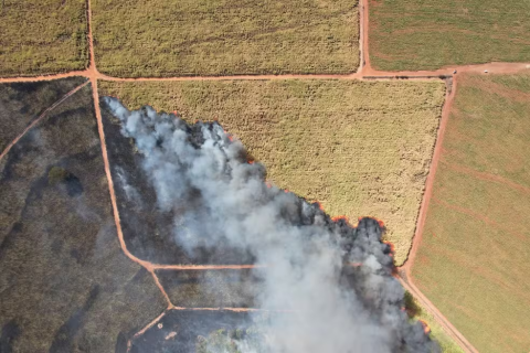 Incêndio de grandes proporções atinge canavial de usina sucroalcooleira em Guapiaçu